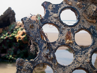 Remains of the shipwreck 'Belem' 1917